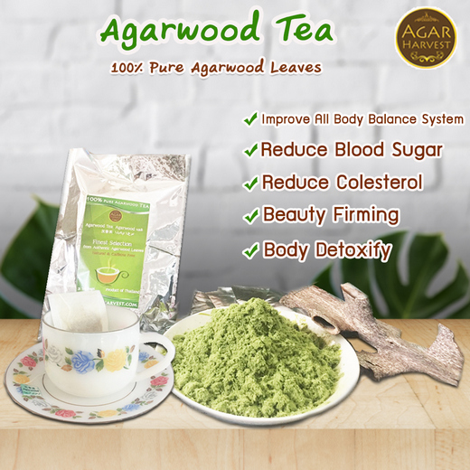 agarwood gaharu tea bags